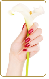 manicure